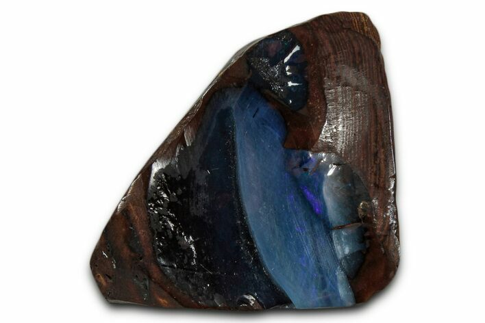 Electric Blue Boulder Opal Cabochon - Queensland, Australia #351847